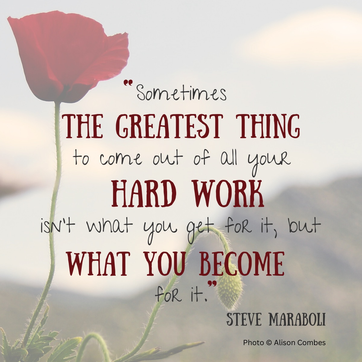Sometimes the greatest thing to come out of all your hard work isn't what you get for it, but what you become for it. - Steve Maraboli